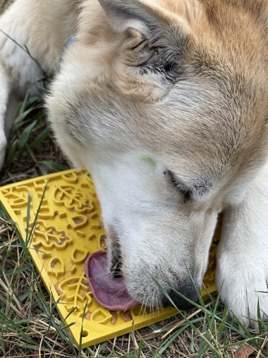 Soda Pup Lízací podložka podzim 