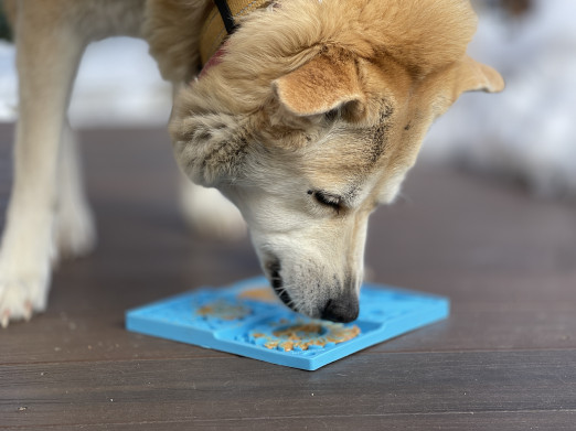 Soda Pup Lízací podložka obloha